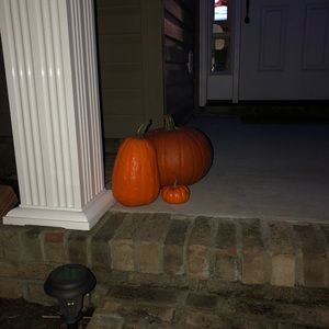 Meet your Posher, Lindsay